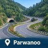 Parwanoo