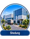 Shedung